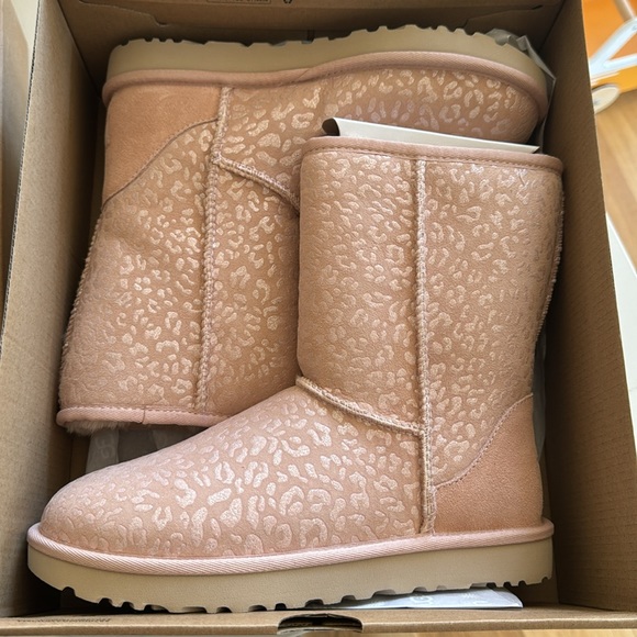 Brand new in box pink Uggs - Picture 1 of 5